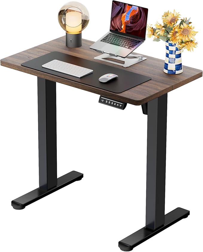 ErGear Height Adjustable Electric Standing Desk 32 x 19 Inches Sit Stand up Desk Memory Computer Home Office Desk Dark Walnut