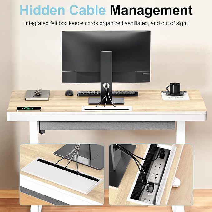 Electric Standing Desk with Drawer &amp Wireless Charging Height Adjustable Sit Stand Desk with USB Charging Station Hidden Cable Management Tray 48 Ergonomic Home Office Computer Desk Light Woo