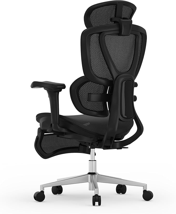 FLEXISPOT Sentinel Ergonomic Office Chair with Dual-Wing Adaptive Lumbar 3D Armrests 3-Position Recline up to 120° Height-Adjustable Backrest Premium Mesh Computer Desk Chair for Home &amp Office