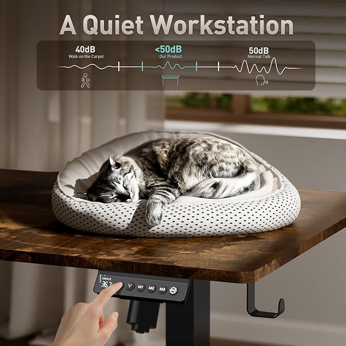 Singel Motor Standing Desk 55 inch Brown