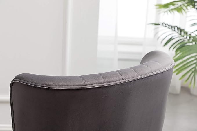 Elon Contemporary Velvet Upholstered Accent Chair Gray