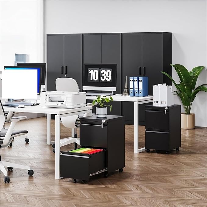 Mobile File Cabinets 2 Drawer On Wheels Home Office Mobile Under Desk with Lock Vertical Files Drawers for Legal/Letter/A4 Filing Cabinets