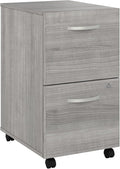 Bush Business Furniture Studio C 2 Drawer Mobile File Cabinet in Platinum Gray - Assembled Rolling Document Storage for Home or Professional Office