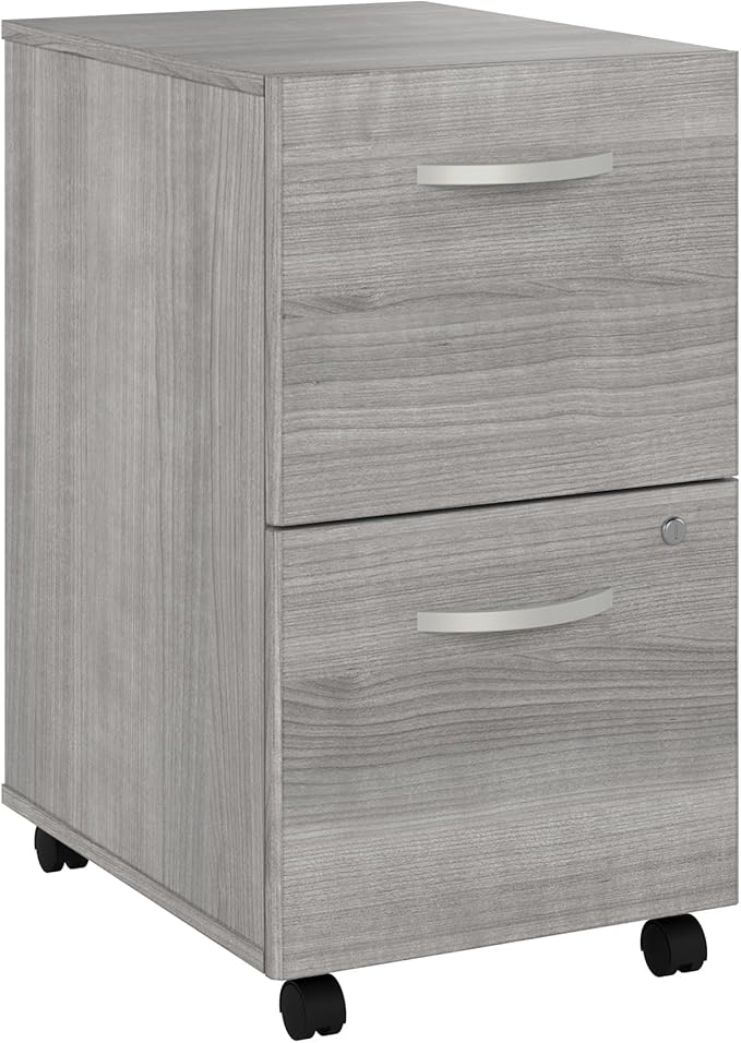 Bush Business Furniture Studio C 2 Drawer Mobile File Cabinet in Platinum Gray - Assembled Rolling Document Storage for Home or Professional Office