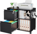 Yizosh 2-Drawer Metal File Cabinet with Lock Mobile Lateral Filing Cabinet Printer Stand with Adjustable Storage Shelves for Home Office (Black)