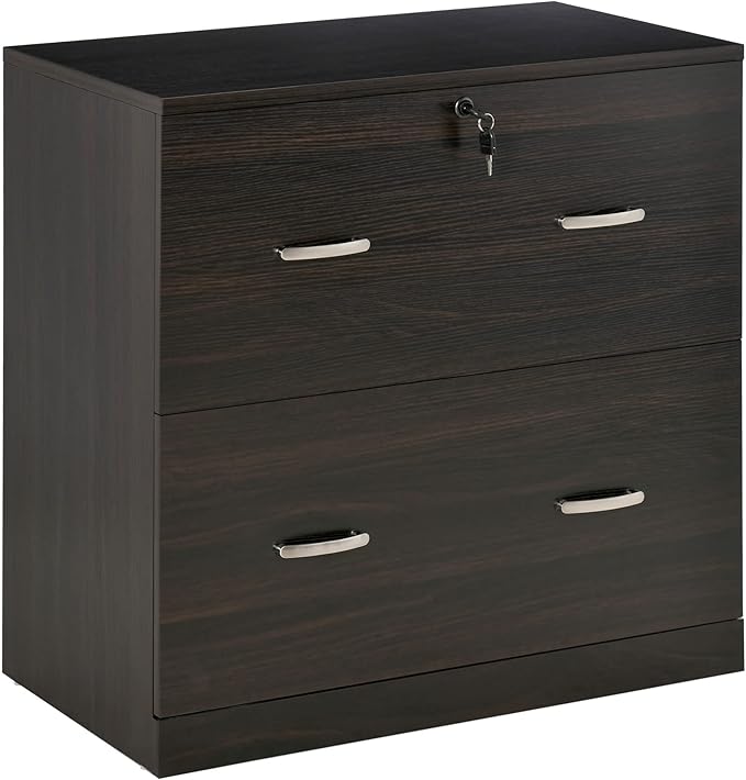 2 Drawer File Cabinet with Lock Small Filing Cabinets Under Desk Storage Organizer for Home Office Vertical 2-Drawers Locking Cabinet for Letter SizeNatural