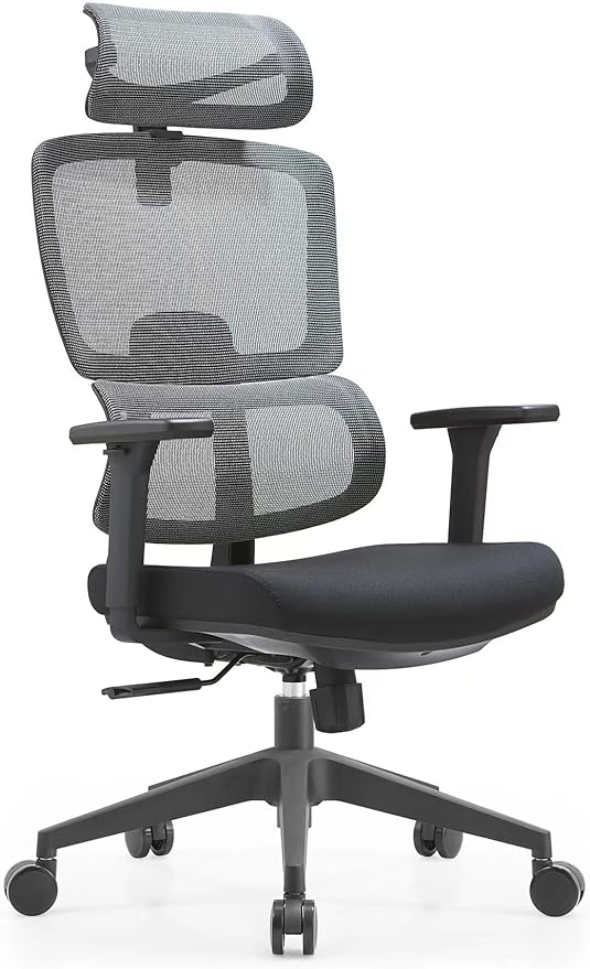 Premium Mesh Executive Home Office Desk Chair with Ergonomic Lumbar Black