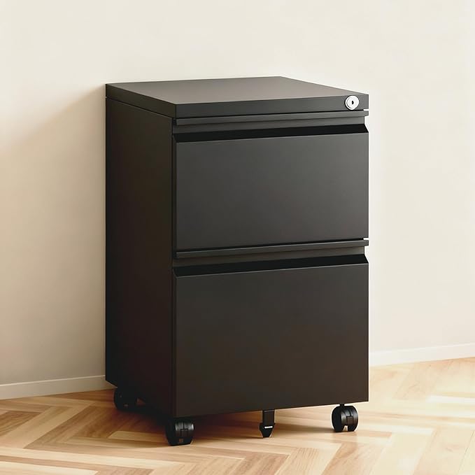 2 Drawer File Cabinet with LockRolling Filing Cabinet with Wheels for Home OfficeUnder Desk Metal File CabinetOffice Storage OrganizerBlack