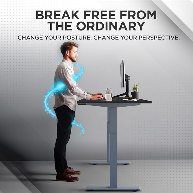 RISE UP dual motor electric standing desk 48x30 black desktop premium ergonomic adjustable height sit stand up home office computer desk table motorized powered modern furniture small standup table