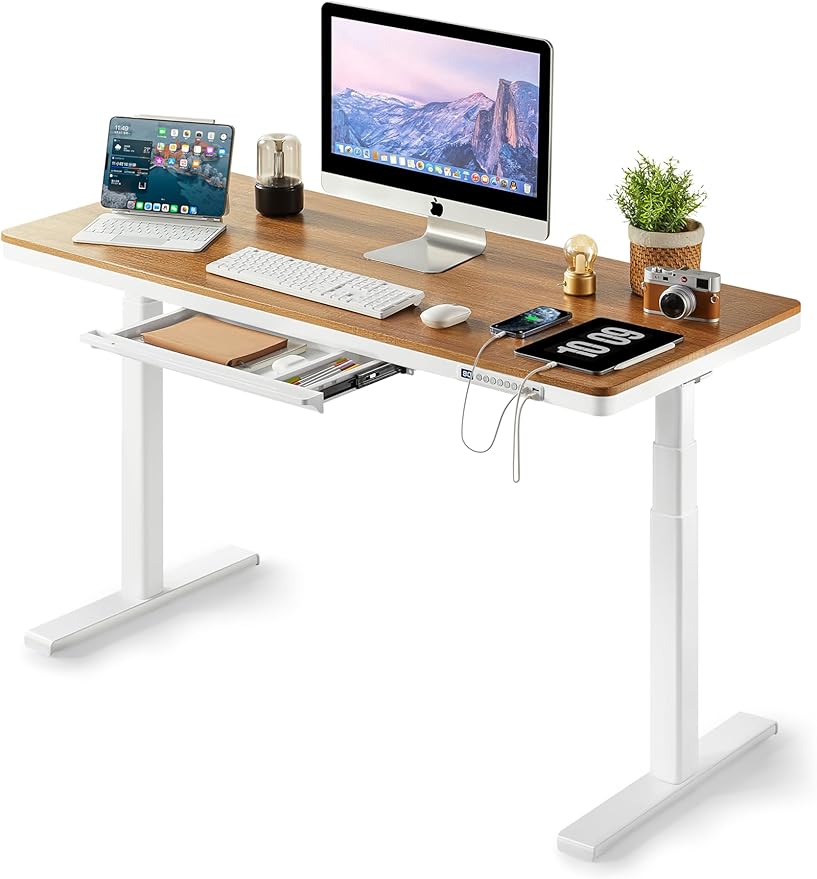 KINGSMITH 48x24 Inches Whole Piece Electric Standing Desk with Drawer Height Adjustable Stand up Desk for Home Office Ergonomic Sit to Stand Desk Computer Workstation Rustic Brown