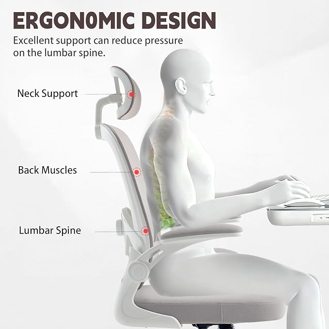 Ergonomic Office Chair with 3D Adjustable Lumbar Support Mesh High Back 75° Rotating Headrest Rocking Function 300lbs Capacity Black/White (White)