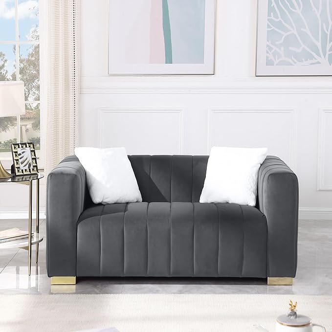 63'' Modern Premium Velvet 2-Seater Couch/Loveseat Sofa with Metal Base Legs and 2 Pillows for Living Room/Bedroom