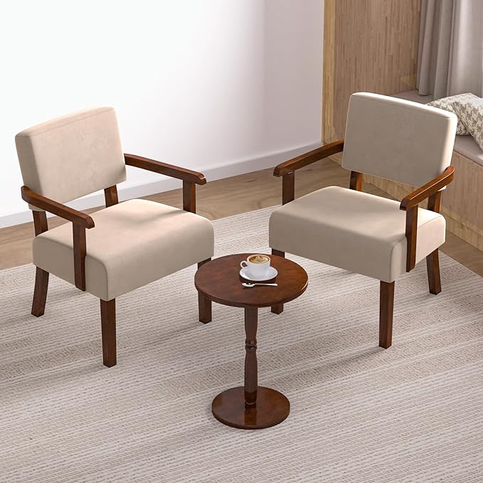 Accent Chair Cat-Scratch Velvet Living Room Chairs Oversize with Soft Seat and Armrests for Dinning Room Bedroom Reading Room Waiting Room