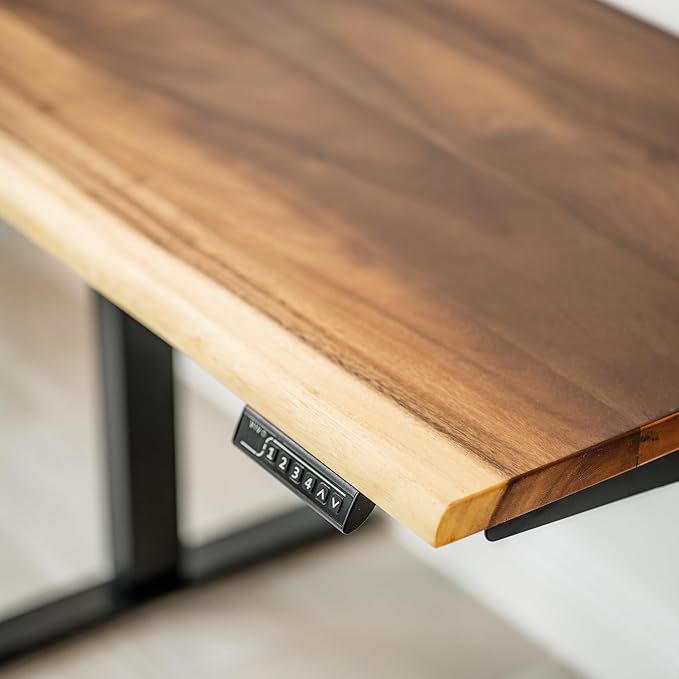 Small Standing Desk – Walnut Solid Wood Desk Natural Live Edge Adjustable Height Dual Motor Sit Stand for Home Office (Black W38 x D25)