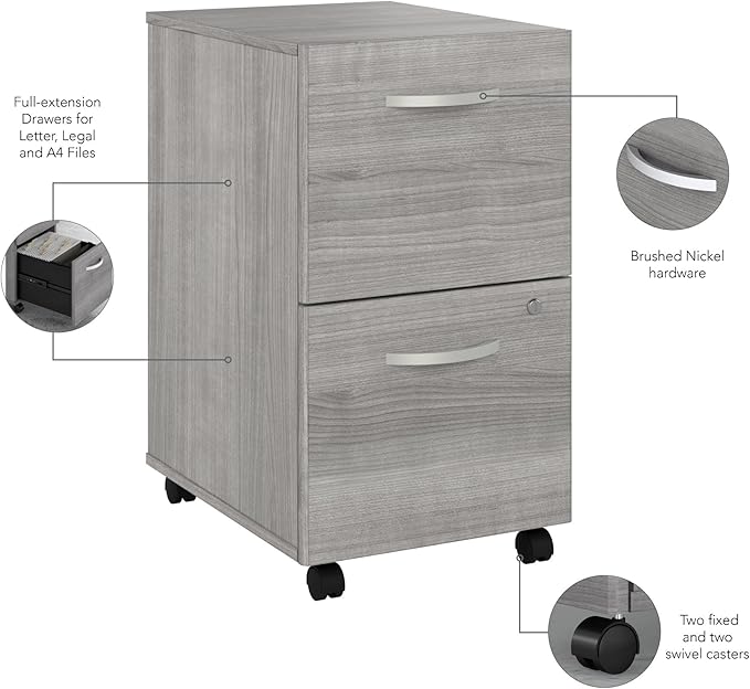 Bush Business Furniture Studio C 2 Drawer Mobile File Cabinet in Platinum Gray - Assembled Rolling Document Storage for Home or Professional Office