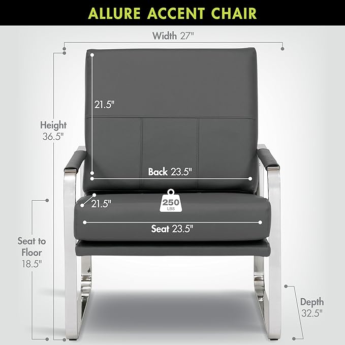 Studio Designs Home Allure Modern Accent Chair in Blended Leather Chrome/Smoke Gray