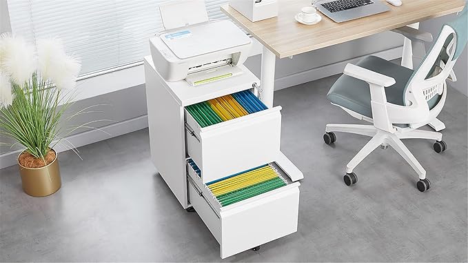 2 Drawer File Cabinet with LockMetal Under Desk Rolling Filing Cabinet fits Letter/Legal/A4 Size for Home OfficeMobile Filing CabinetOne-piece Molded Handles360°Swivel WheelsAnti-dumping (White)