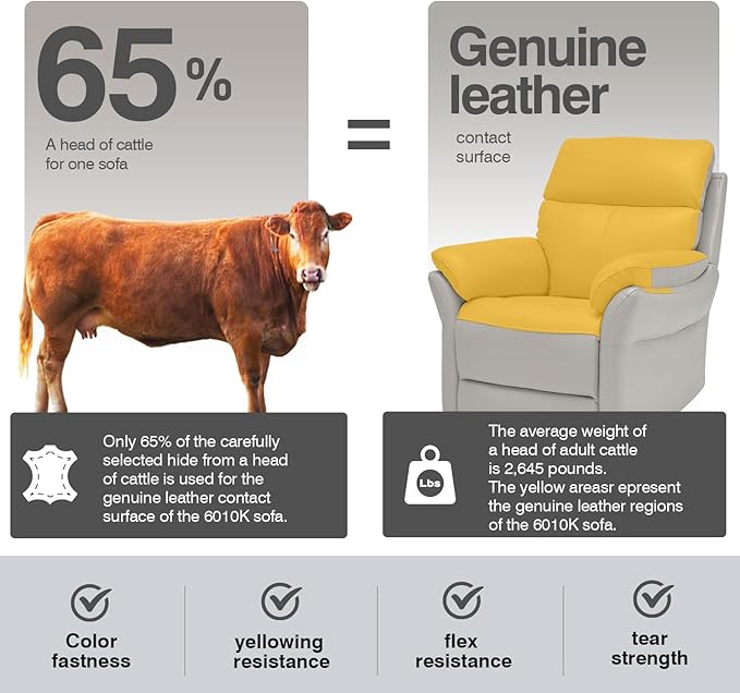 AIRSKY Genuine Leather Recliner Chair Top Grain Leather Italian Water-Washing Process Living Room Chair with Lumbar Supportfor Theater Seating Bedroom GreyR1