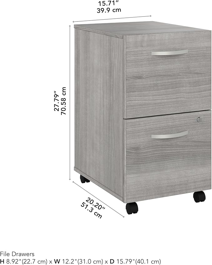 Bush Business Furniture Studio C 2 Drawer Mobile File Cabinet in Platinum Gray - Assembled Rolling Document Storage for Home or Professional Office
