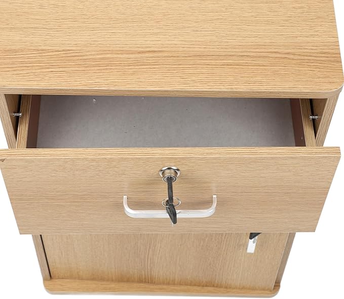 Asixxsix Lockable 2 Drawer Mobile File Cabinet with Lock Under Desk Metal Filing Cabinet for Legal Letter A4 File Mobile File Cabinet with Wheels for Home Office Stylish Modern Design