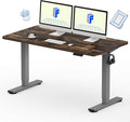 FLEXISPOT EN1 One-Piece Standing Desk 55 x 28 Inches Height Adjustable Electric Desk (Silver Frame + Rustic Top 2 Packages)