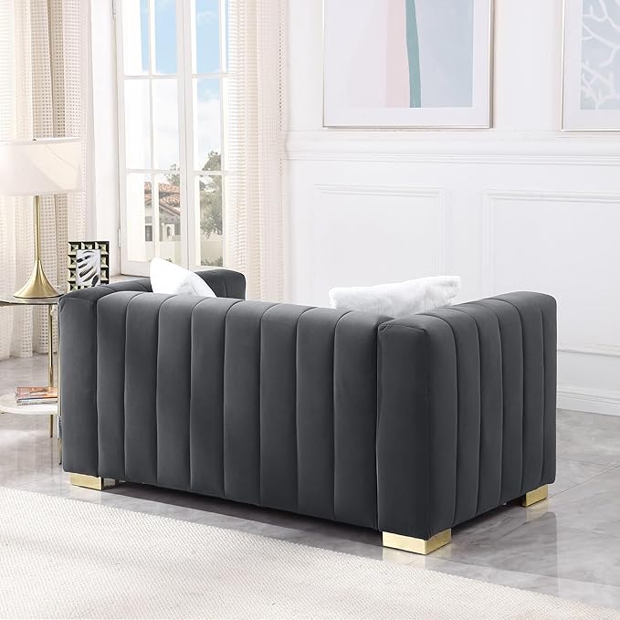 63'' Modern Premium Velvet 2-Seater Couch/Loveseat Sofa with Metal Base Legs and 2 Pillows for Living Room/Bedroom