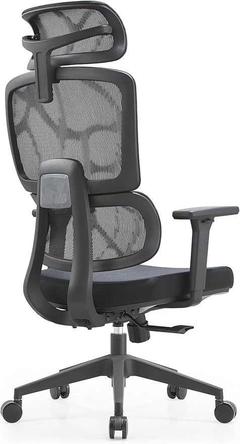 Premium Mesh Executive Home Office Desk Chair with Ergonomic Lumbar Black