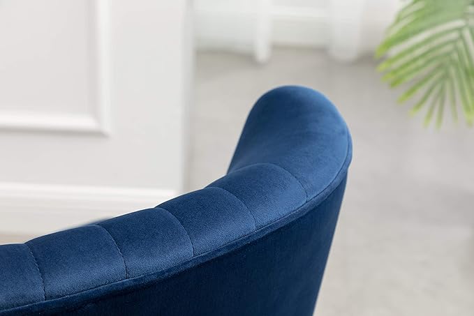 Elon Contemporary Velvet Upholstered Accent Chair Blue
