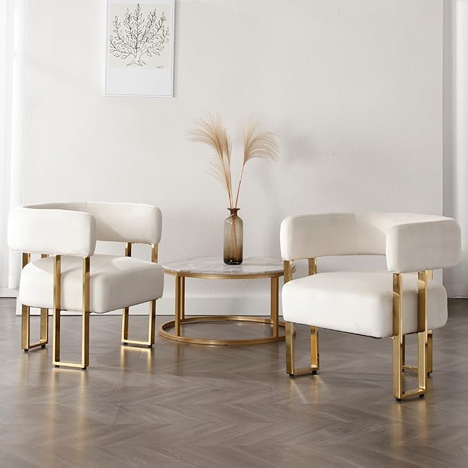Modern Barrel Accent Chairs Set of 2 Living Room Side Chairs with Golden Metal Legs Soft Velvet Upholstered Reading Armchairs for Bedroom/Reception Room/Lounge/Office Ivory
