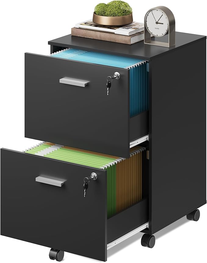 DEVAISE 2 Drawer File Cabinet Mobile Printer Stand Wood Filing-Cabinet fits A4 or Letter Size for Home Office Black