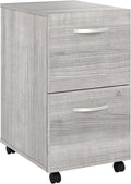 Bush Business Furniture Studio A 2 Drawer Mobile File Cabinet in Platinum Gray - Assembled