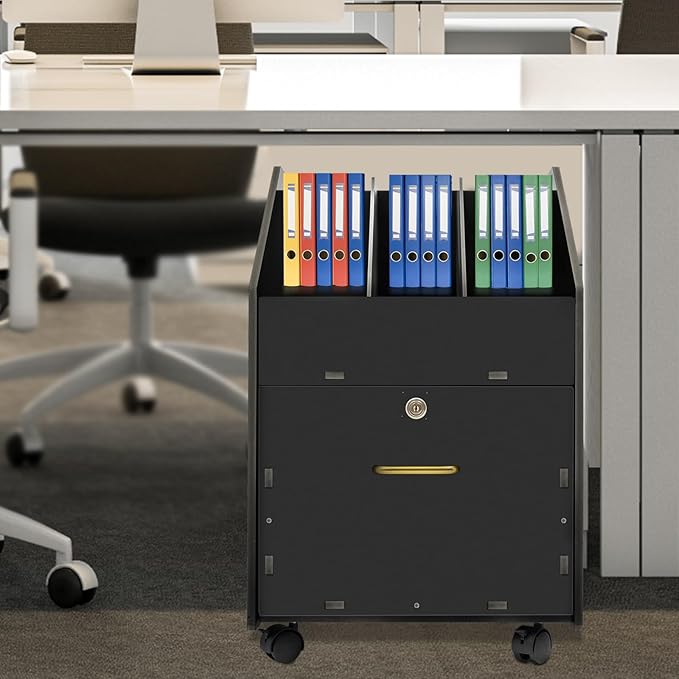 Mobile File Cabinet with Lock Freestanding Rolling File Cabinet with 6 Wheels 15.75x18.9x23.8in Under Desk File Organizer for Home Office Practical Handle (Black)