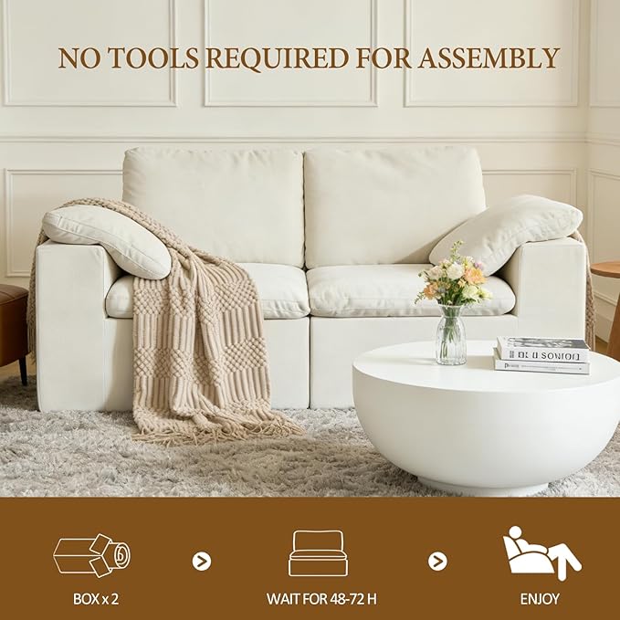 ANONER 78 Loveseat Sofa Deep Seats Cloud Sectional Couches for Living Room 2 Seater Boneless Couch Modern Modular Loveseats No Assembly Beige | Adjustable Backrest Premium Chenille 29.3 Deep