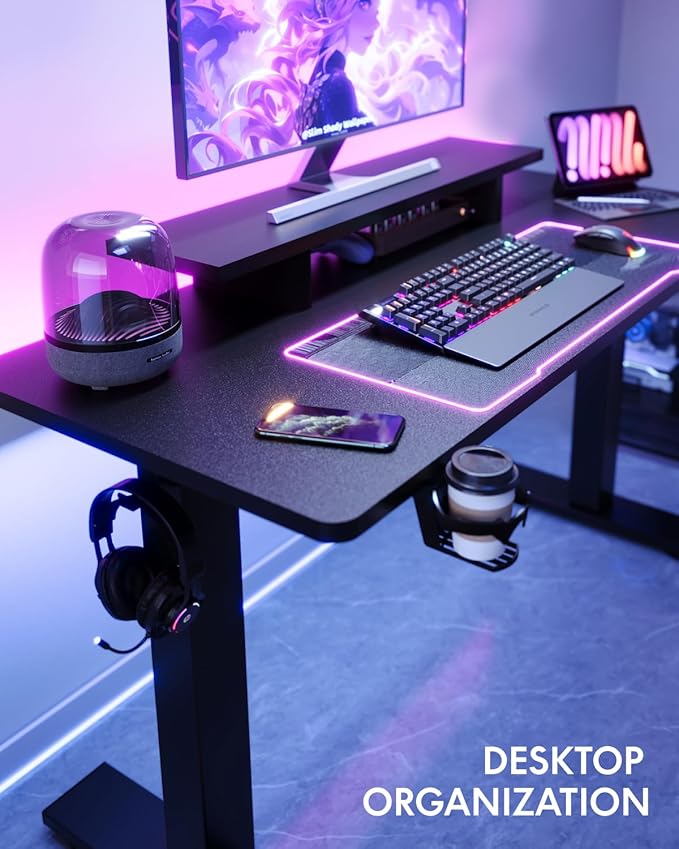 FLEXISPOT Standing Desk with Monitor Stand 48 x 24 Inches One-Piece Electric Height Adjustable Computer Desk with Cup Holder for Home Office Black