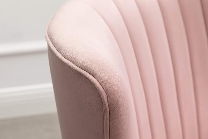 Elon Contemporary Velvet Upholstered Accent Chair Pink