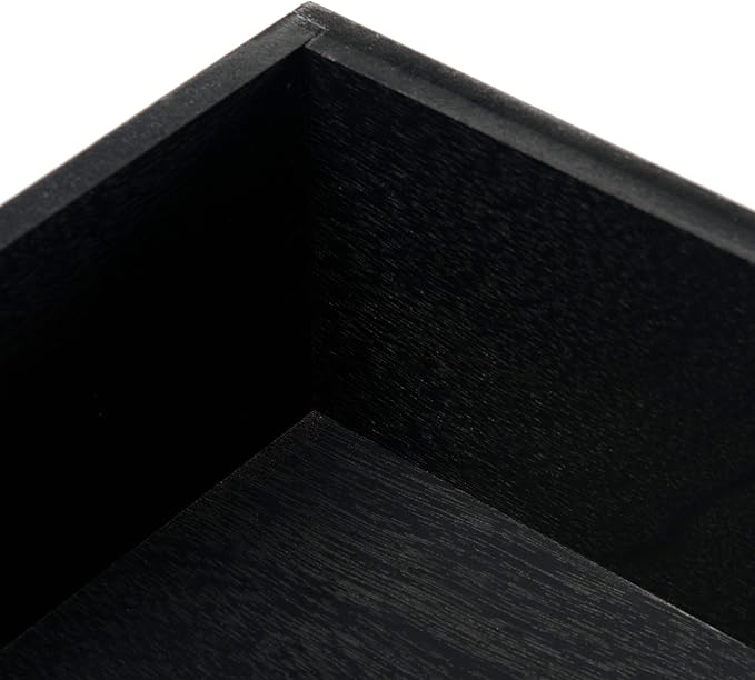 Safavieh Home Collection Filbert Black 2-Drawer Writing Desk DSK5701B