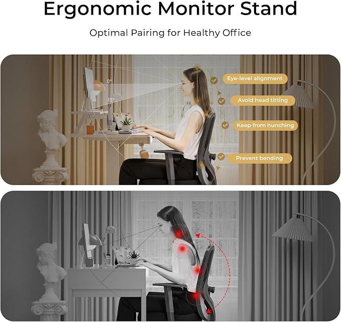 COMHOMA Electric Standing Desk with Drawers 48 x 24'' Sit Stand up Desk with Monitor Stand Laptop Stand Height Adjustable Ergonomic Home Office Computer Desk with Memory Preset Controller