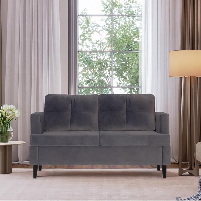 Milliard Medium Couch Velvet Love Seat Couch for Small Spaces (57x 24 x 30.5)
