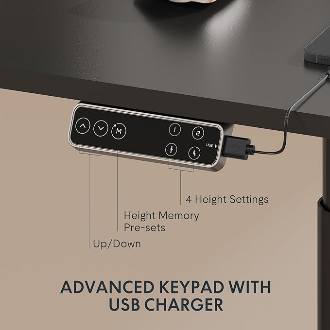 FLEXISPOT E6 Pro Oval Dual Motor 3 Stages Standing Desk Oval Leg Height Adjustable Electric Stand Up Desk Frame Only (Black)