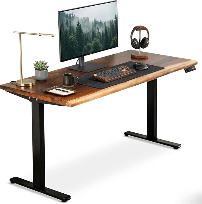 Walnut Standing Desk - W48 × D27 Solid Wood Live Edge Adjustable Height Sit Stand Desk - Dual Motor Frame with Memory Presets Quick Assembly - Stand Up Home Office Table by MWS Studio