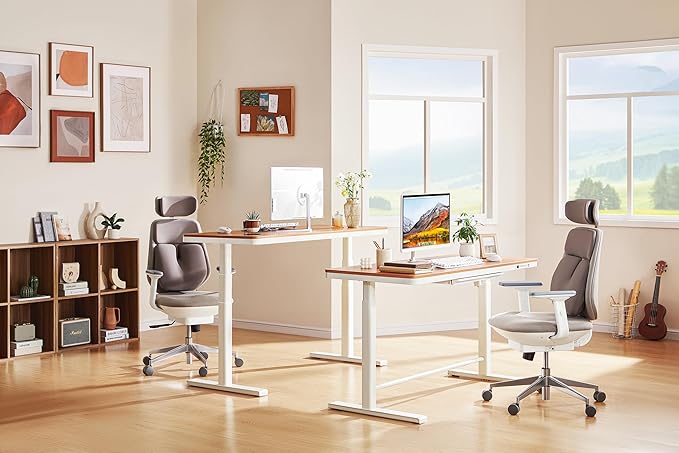 KINGSMITH 55x24 Inches Whole Piece Electric Standing Desk with Drawer Dual Motors Height Adjustable Stand up Desk for Home Office Ergonomic Sit to Stand Desk Computer Workstation Light Red
