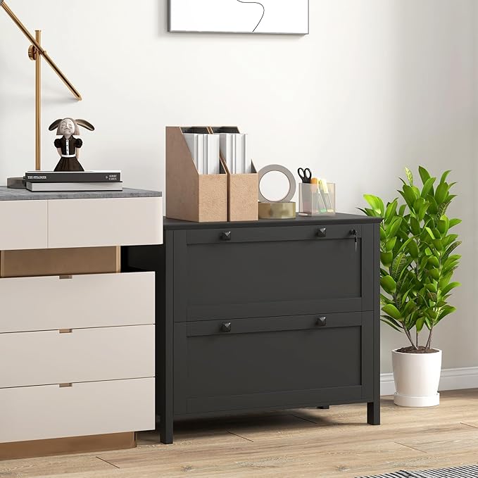 2 Drawer Small File Cabinet with Lock Under Desk Locking Storage Drawers Organizer Filing Cabinets for Home OfficeModern Farmhouse FurnitureBlack