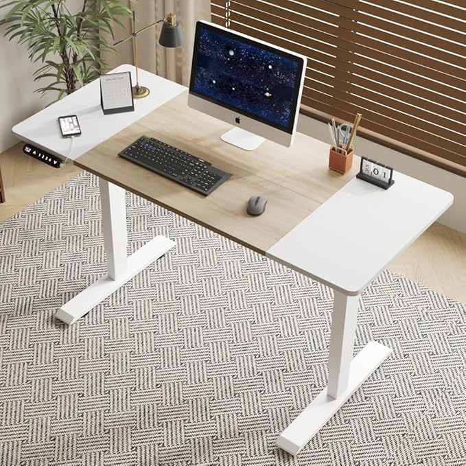 Ball &amp Cast Electric Standing Desk 55 x 24 Inches Height Adjustable Sit Stand Desk with Memory Preset &amp Built-in USB Type-C Motorized Home Office Gaming Computer Desk White Frame/Oak Top