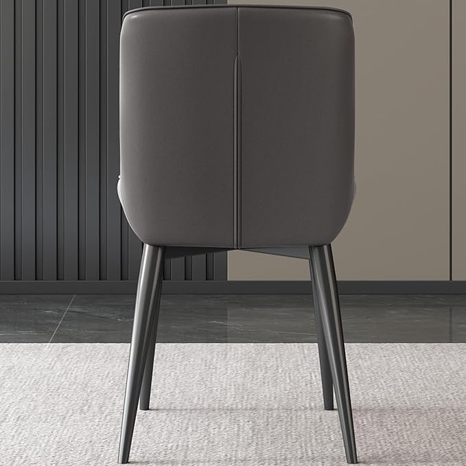 Kitchen Dining Chairs Set of 2 Modern Accent Heavy Duty Desk Chairs with Metal Legs for Home Office Bedroom &amp Living Room