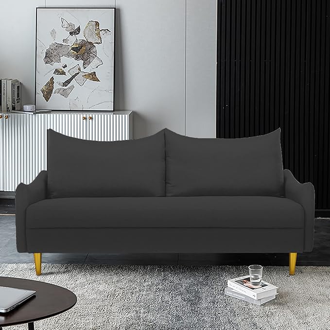 66.9“ Loveseat SofaModern Small Couches for Small SpacesSolid Wood LegsMini CouchMini loveseat with 2 PillowsSuitable for Living Room Bedroom Apartment (Dark Grey)