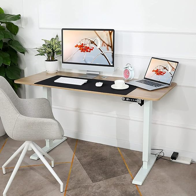 Electric Standing Adjustable Height Desk 48'' x 24''Sit Stand Desk with Charging Station 2 USB Ports 3 Power Outlets 27''-46'' Lifting Range Computer Workstations(Oak)
