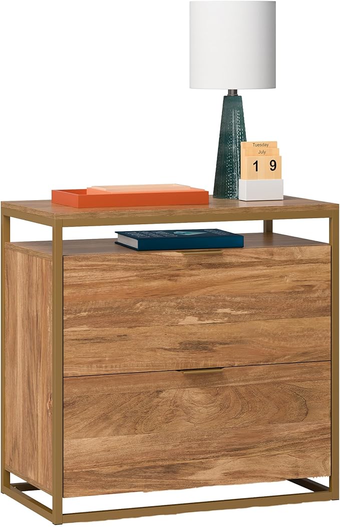 2 Drawer Small File Cabinet with Lock Lateral Engineered Wood Filing Cabinets for Home Office Under Desk Locking Storage Drawer Cabinet OrganizerBrown