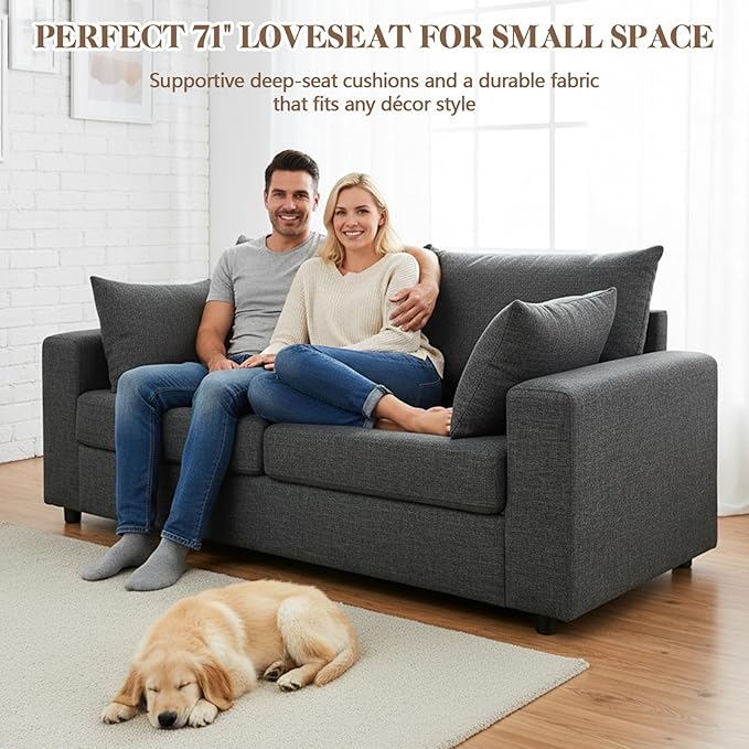 71 Loveseat Sofa Upholstered Love Seat with Deep Cushions &amp Removable Pillows Modern Polyester Couch for Bedroom Living Room &amp Office (Dark Gray)
