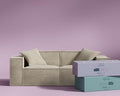 ROVE LAB Love Seat Sofa in a Box No Assembly Deep Seat and Comfy Modular Sofa Spill-Proof Fabric Modern Small Couch for Living Room Loveseats Bedroom Apartment Home Office (Silicon Sand)