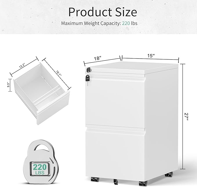 Bonusall 2 Drawer File Cabinet Metal Rolling File Cabinet with Lock Filing Cabinets for Home Office Fit A4/Letter/Legal Easy Assembled White